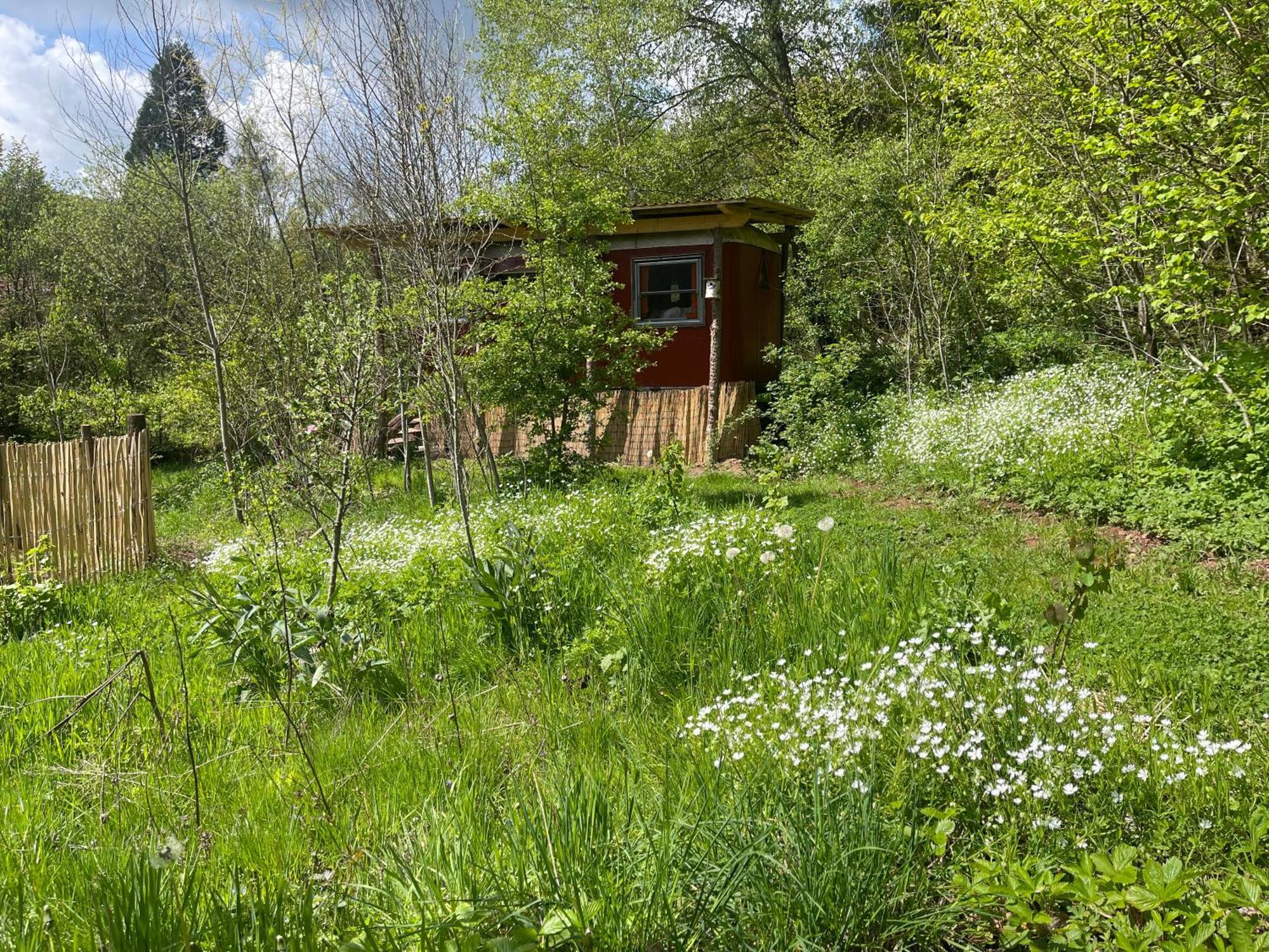 Kuscheliger Zirkuswagen Im Wildgarten Witzenhausen Eksteriør bilde
