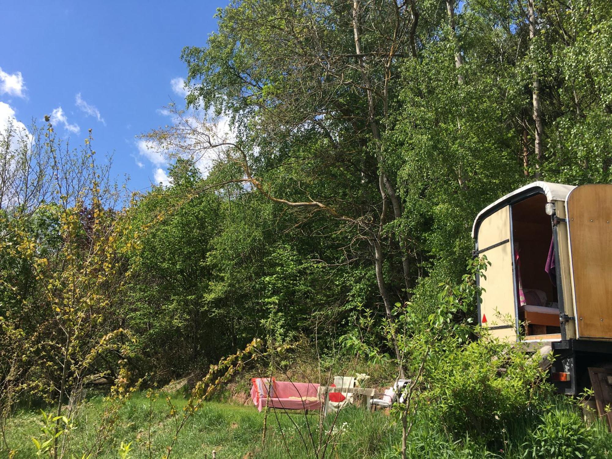 Kuscheliger Zirkuswagen Im Wildgarten Witzenhausen Eksteriør bilde